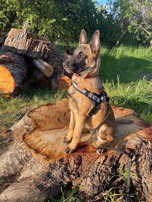 4 Months Old