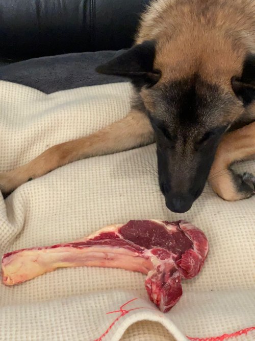 Tomahawk Steak
